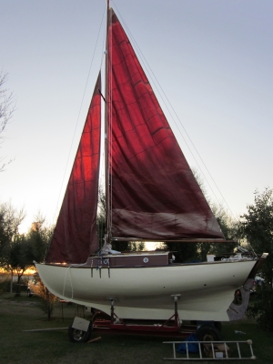 [Immagine: 201088125639_IMG_0154.jpg]